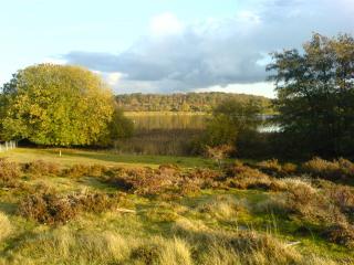 Frensham Great Pond, 27 October 2008