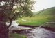 Stepping stones, near Malham Cove, Yorkshire Dales (Click to enlarge)