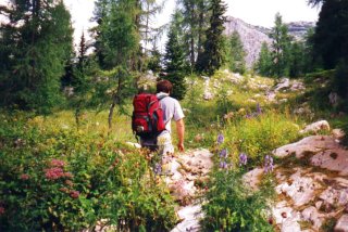 Walking though alpine meadows and forests, Triglav Lakes Valley